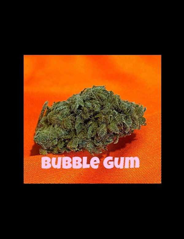 BubbleGum  type bud