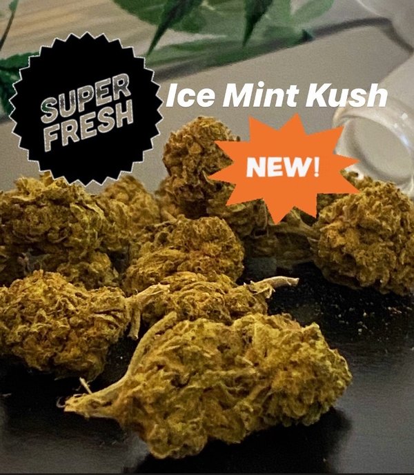 Ice Mint Kush  bud NEW